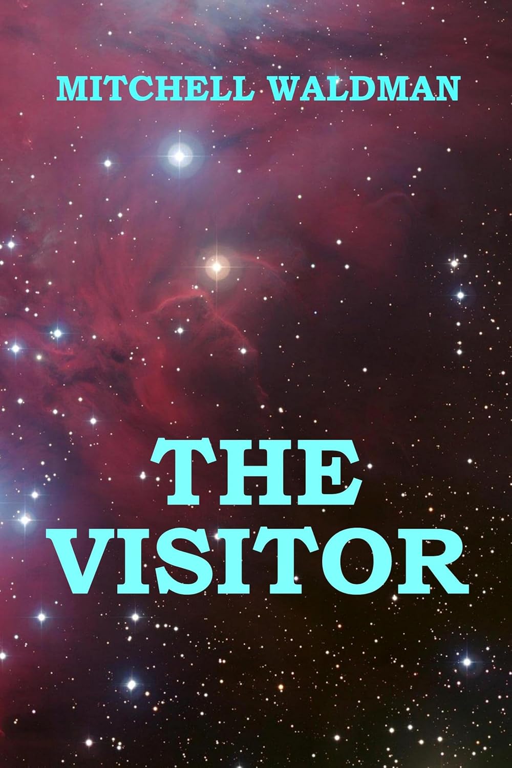 THE VISITOR